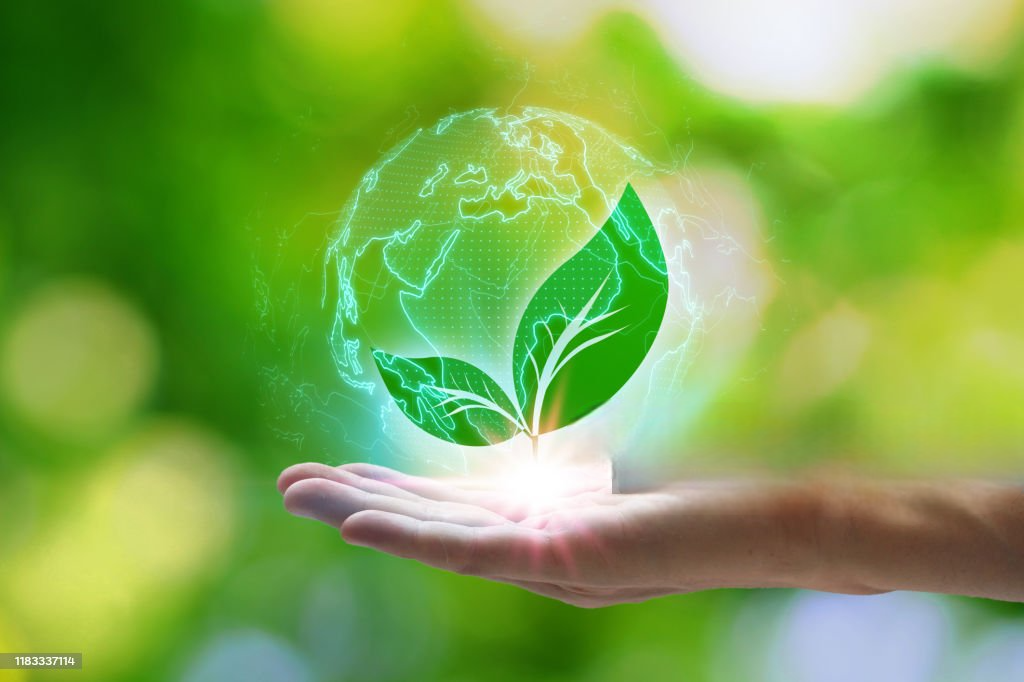 Green Vision was founded in 2016 as an Egyptian company